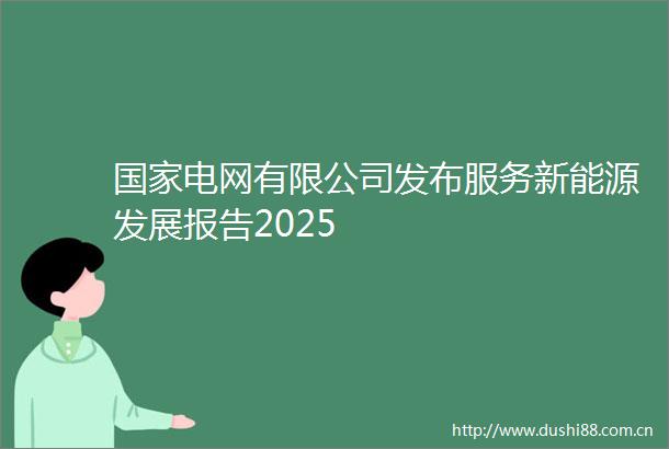 电网有限公司发布服务新能源发展报告2025
