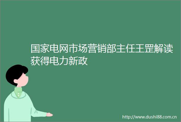 电网市场营销部主任王罡解读获得电力新政