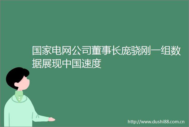 电网公司董事长庞骁刚一组数据展现速度