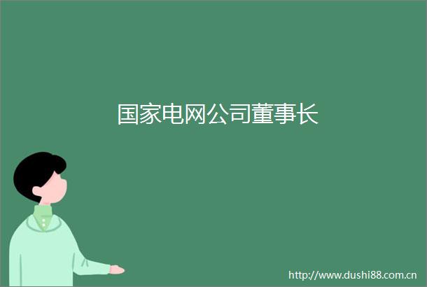 电网公司董事长