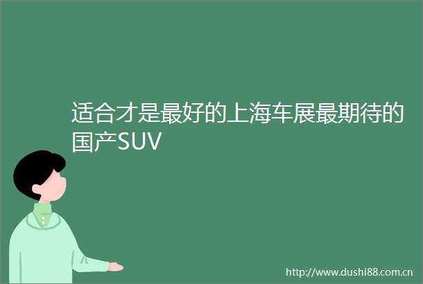 适合才是最好的上海车展最期待的国产SUV