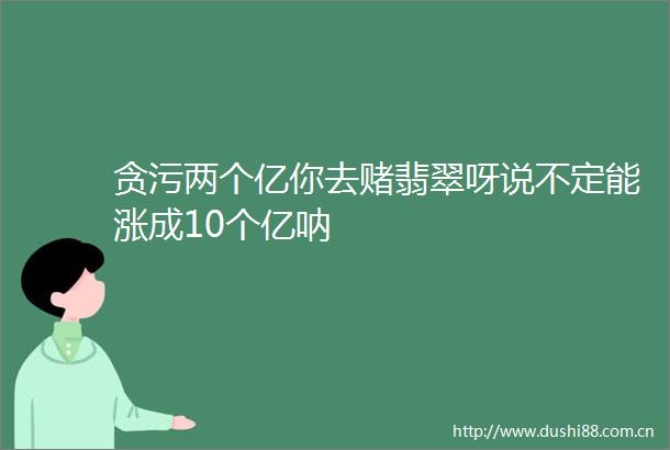 两个亿你去赌翡翠呀说不定能涨成10个亿呐