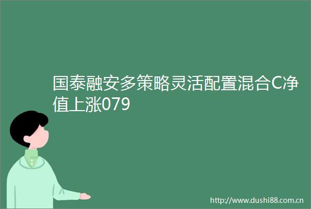 国泰融安多策略灵活配置混合C净值上涨079