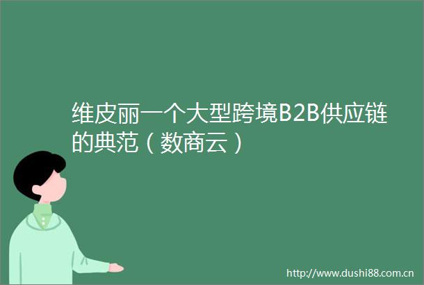 维皮丽一个大型跨境B2B供应链的典范（数商云）