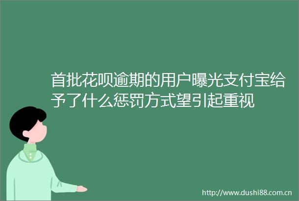 首批花呗逾期的用户支付宝给予了什么惩罚方式望引起重视