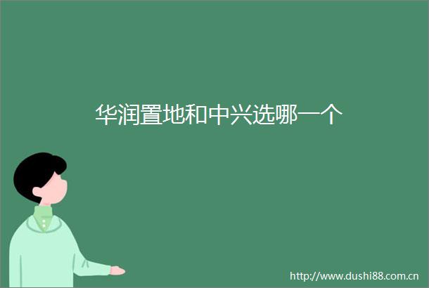 华润置地和中兴选哪一个