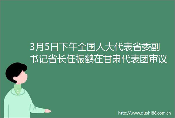 3月5日下午全国人大代表省委副书记省长任振鹤在甘肃代表团审议李强总理所作的工作报告