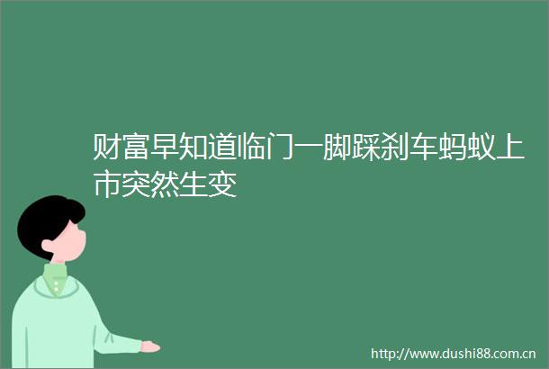 财富早知道临门一脚踩刹车蚂蚁上市突然生变