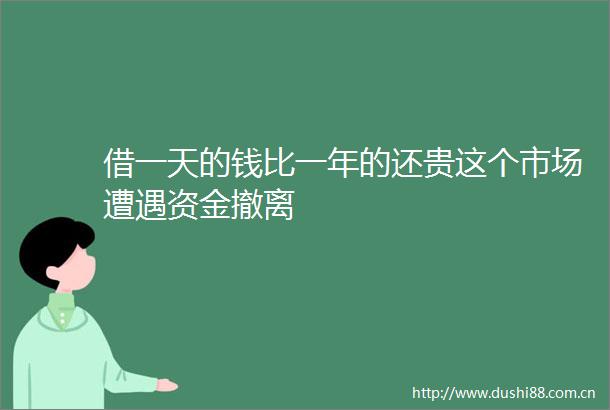 借一天的钱比一年的还贵这个市场遭遇资金撤离