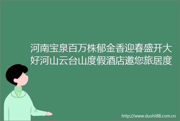 河南宝泉百万株郁金香迎春盛开大好河山云台山度假酒店邀您旅居度假美食美景等您来