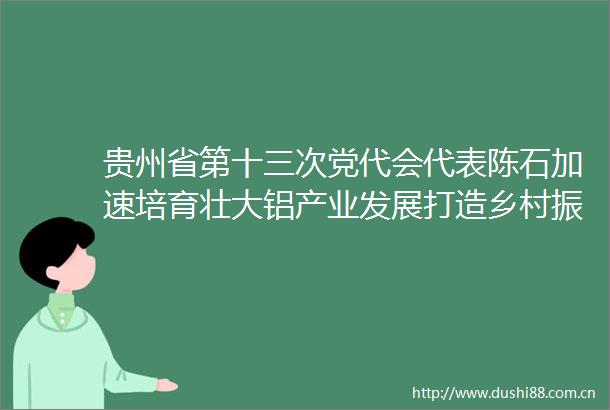 贵州省第十三次党代会代表陈石加速培育壮大铝产业发展打造乡村振兴水城样板