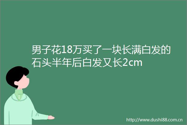 男子花18万买了一块长满白发的石头半年后白发又长2cm