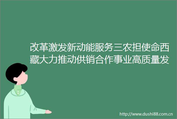 改革激发新动能服务三农担使命西藏大力推动供销合作事业高质量发展