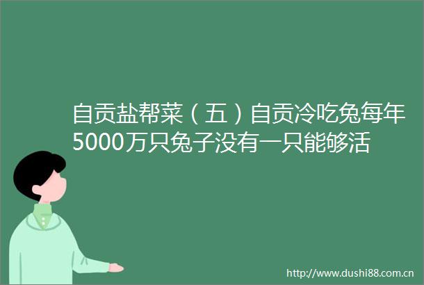 自贡盐帮菜（五）自贡冷吃兔每年5000万只兔子没有一只能够活着跑出自贡（上）