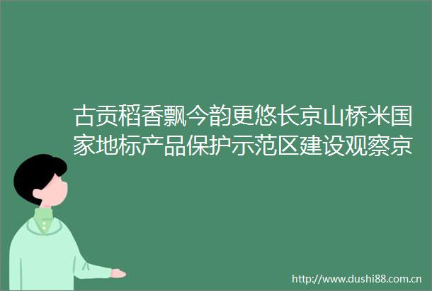 古贡稻香飘今韵更悠长京山桥米地标产品保护示范区建设观察京山桥米地标产品保护示范区建设观察