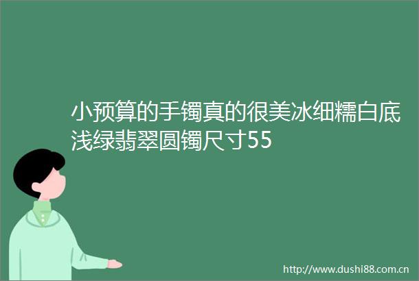 小预算的手镯真的很美冰细糯白底浅绿翡翠圆镯尺寸55