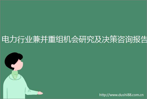 电力行业兼并重组机会研究及决策咨询报告