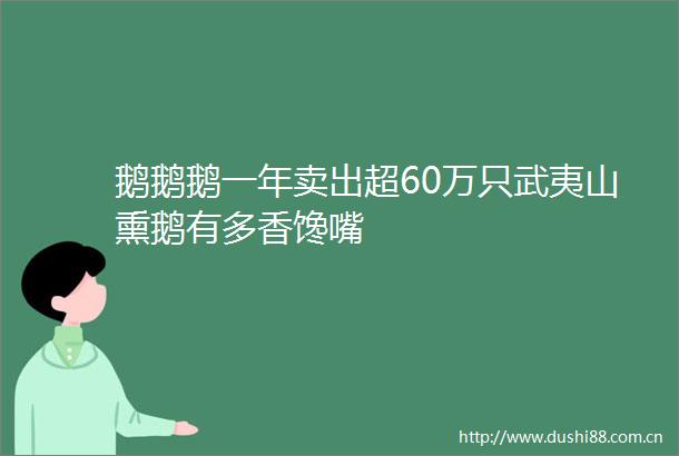 鹅鹅鹅一年卖出超60万只武夷山熏鹅有多香馋嘴