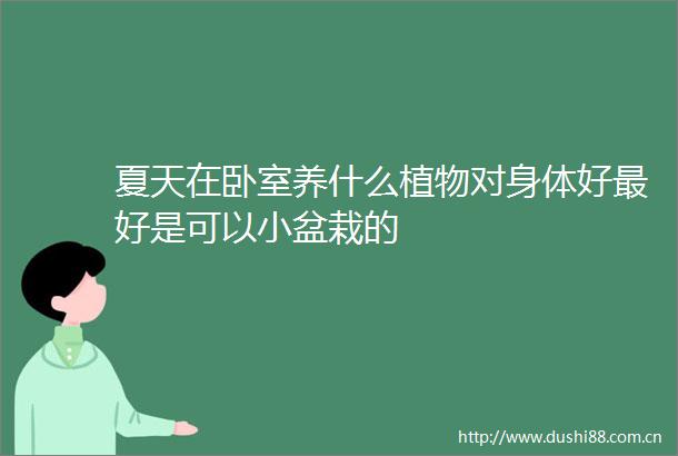 夏天在卧室养什么植物对身体好最好是可以小盆栽的
