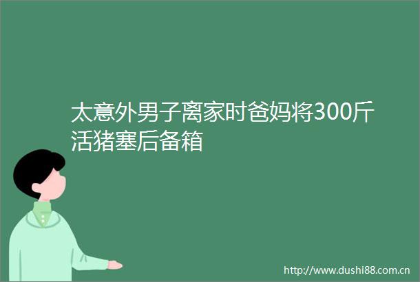 太意外男子离家时爸妈将300斤活猪塞后备箱