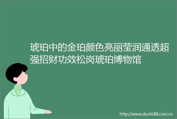 琥珀中的金珀颜色亮丽莹润通透超强招财功效松岗琥珀博物馆