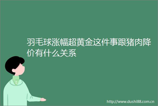 羽毛球涨幅超黄金这件事跟猪肉降价有什么关系