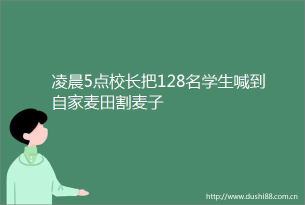 凌晨5点校长把128名学生喊到自家麦田割麦子
