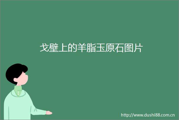 戈壁上的羊脂玉原石图片