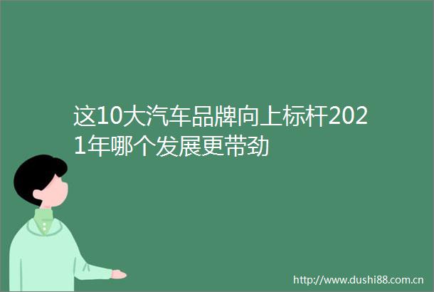 这10大汽车品牌向上标杆2021年哪个发展更带劲