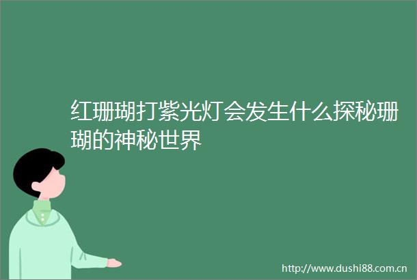 红珊瑚打紫光灯会发生什么探秘珊瑚的神秘世界