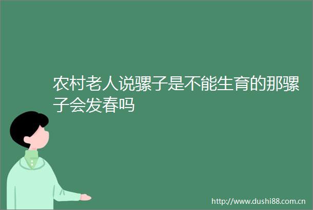 农村老人说骡子是不能生育的那骡子会发春吗
