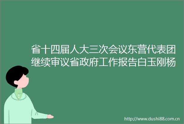 省十四届人大三次会议东营代表团继续审议省工作报告白玉刚杨国强陈必昌孙永壮苏建斌舒华文出席田和友列席