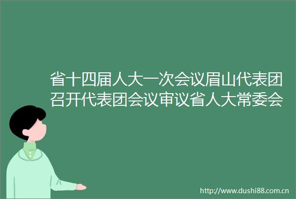 省十四届人大一次会议眉山代表团召开代表团会议审议省人大常委会工作报告等王一宏祝春秀李文星胡元坤黄河刘先伟参加