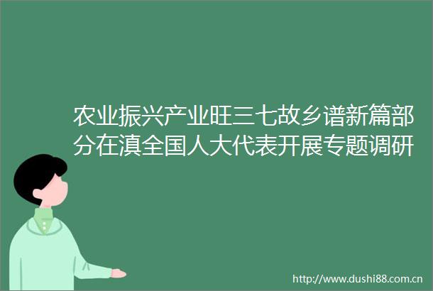农业振兴产业旺三七故乡谱新篇部分在滇全国人大代表开展专题调研侧记