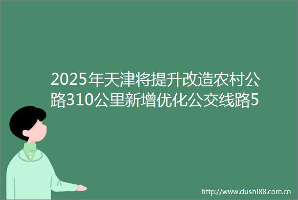 2025年天津将提升改造农村公路310公里新增优化公交线路50条