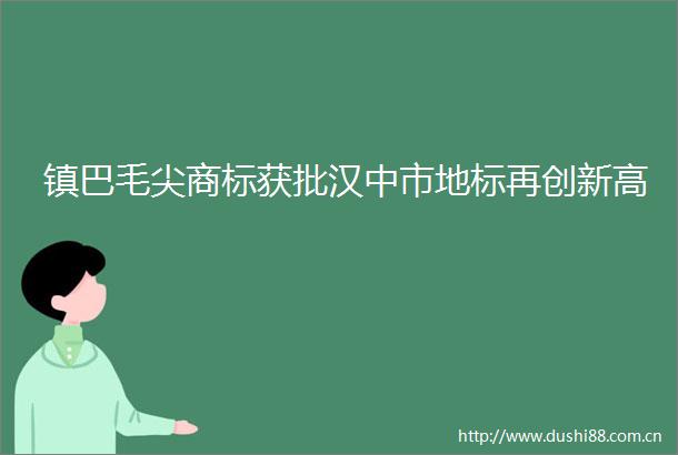 镇巴毛尖商标获批汉中市地标再创新高