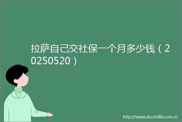 拉萨自己交社保一个月多少钱（20250520）