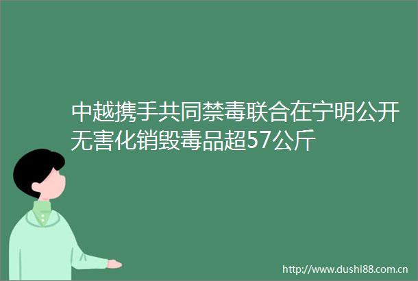 中越携手共同禁毒联合在宁明公开无害化销毁毒品超57公斤