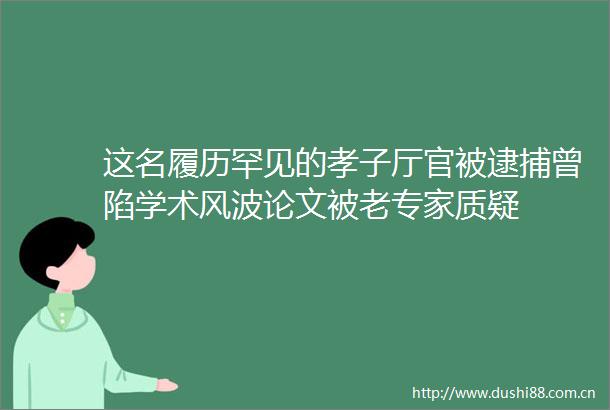 这名履历罕见的孝子厅官被逮捕曾陷学术风波论文被老专家质疑