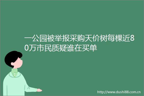 一公园被采购天价树每棵近80万市民质疑谁在买单