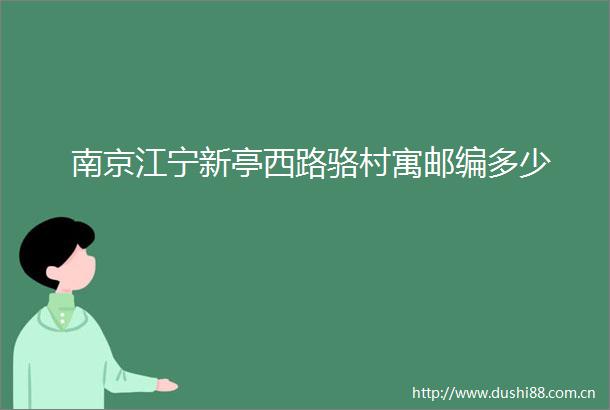 南京江宁新亭西路骆村寓邮编多少