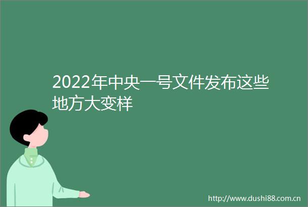 2022年中央一号文件发布这些地方大变样