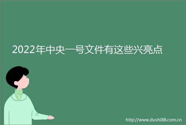 2022年中央一号文件有这些兴亮点