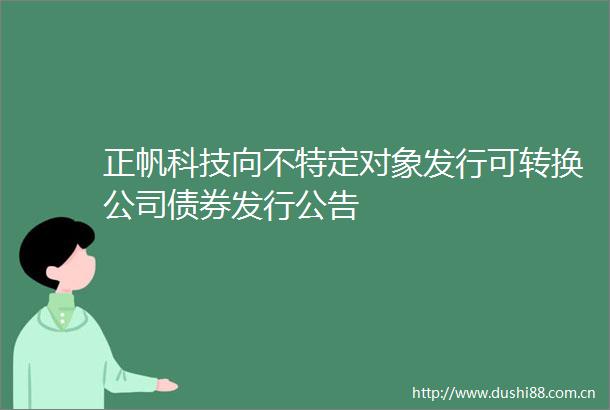 正帆科技向不特定对象发行可转换公司债券发行公告