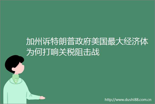 加州诉特朗普美国最大经济体为何打响关税阻击战