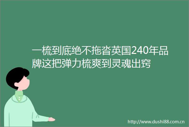 一梳到底绝不拖沓英国240年品牌这把弹力梳爽到灵魂出窍
