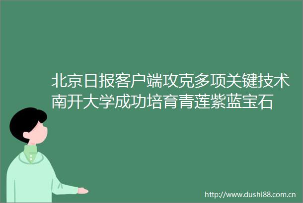 北京日报客户端攻克多项关键技术南开大学成功培育青莲紫蓝宝石