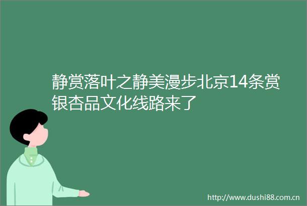 静赏落叶之静美漫步北京14条赏银杏品文化线路来了