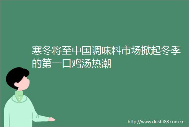 寒冬将至调味料市场掀起冬季的第一口鸡汤热潮