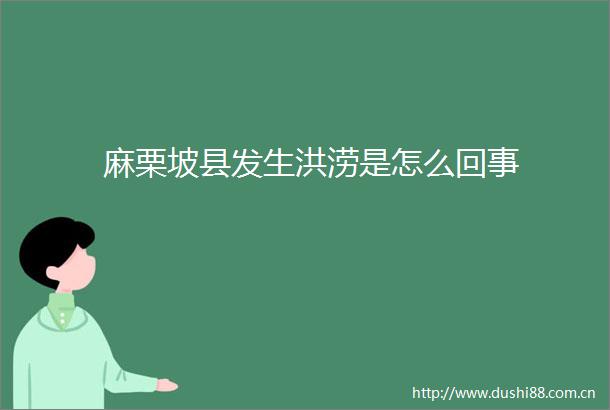 麻栗坡县发生洪涝是怎么回事
